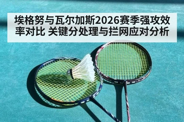 埃格努与瓦尔加斯2026赛季强攻效率对比 关键分处理与拦网应对分析